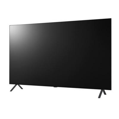 55in AN960H Commercial TV