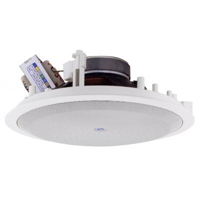 PL8X 2-Way Ceiling Speaker