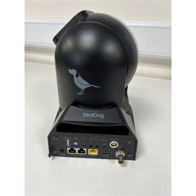 P240 (Black) - Clearance Product