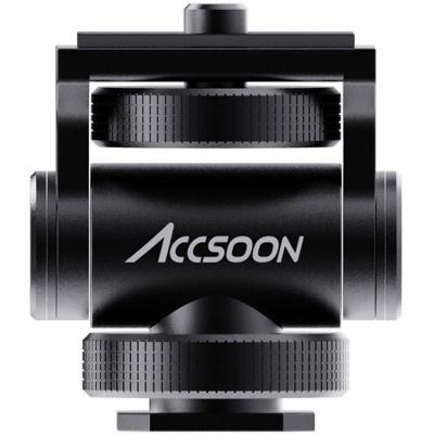 ACSAA01