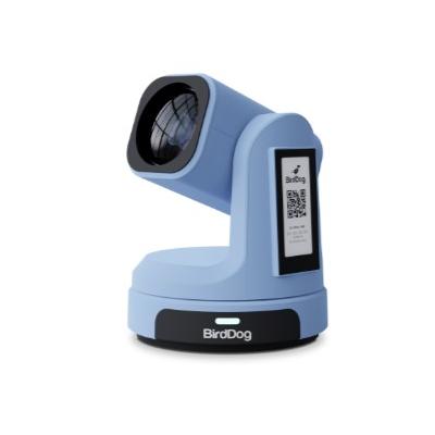 BDMAXBLUE