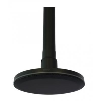 Parle TCM-X Pole Mount