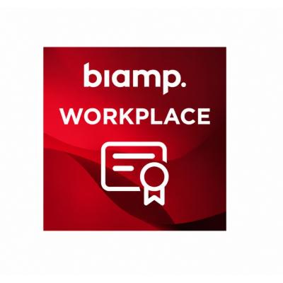 BIAWORKPLACE3