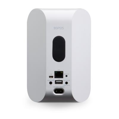 BSP125-WH