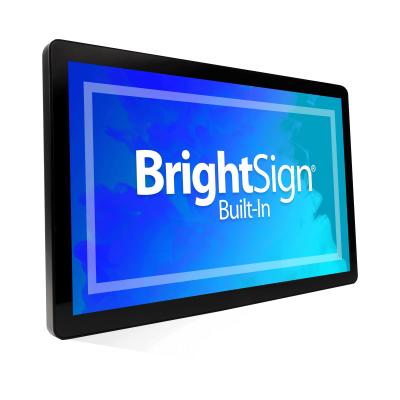 BrightSign 20-3008-1095 Display