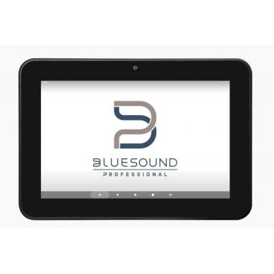 BLUECP300