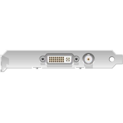 DVI2PCIe Duo