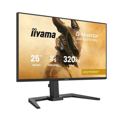 24.5" GB2591HSU-B1 Gaming Monitor