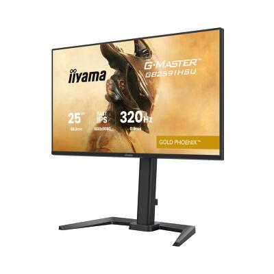 24.5" GB2591HSU-B1 Gaming Monitor