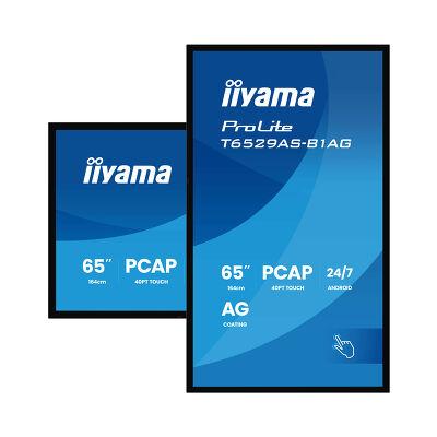 65" ProLite T6529AS-B1AG Interactive Display