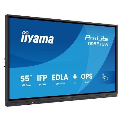 55" TE5513A-B2AG Interactive Display
