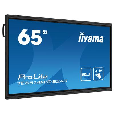 65" TE6514MIS-B2AG Interactive Display