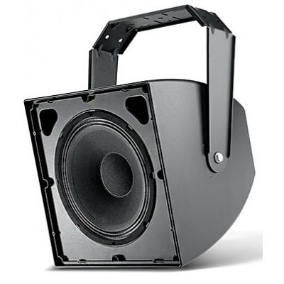 SCS12 2-Way Cinema Speaker