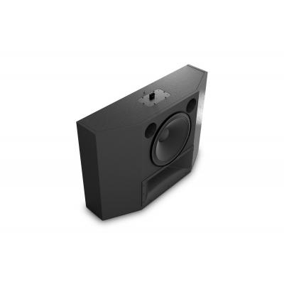 C211 2-Way ScreenArray Speaker
