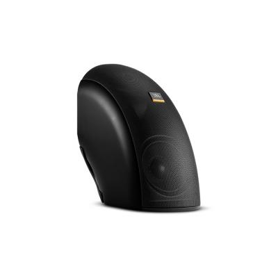 Control CRV Curved Loudspeaker