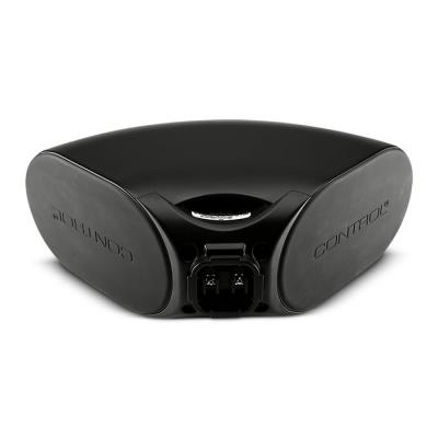 Control CRV Curved Loudspeaker