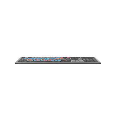 Graphic Designer - Mac Backlit ASTRA2