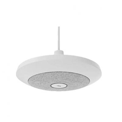 Mic Pod Pendant Mount