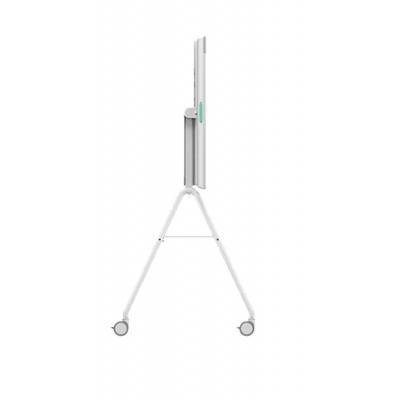 Rally Board 65 Cart - OFF White