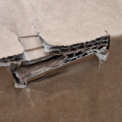 D7X 75 Windows Edition - Clearance