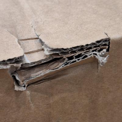 D7X 75 Windows Edition - Clearance
