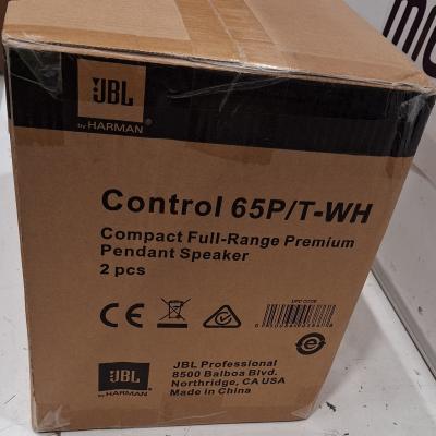 Control 65P/T Pendant Speakers - Clearance