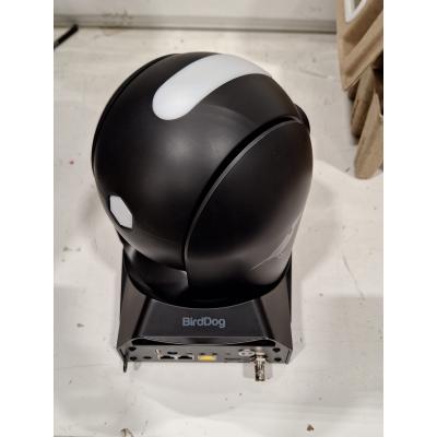 P240 (Black) - Clearance Product