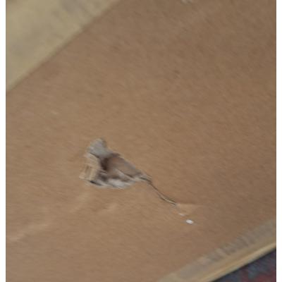 BTEBT9903 - Clearance Product