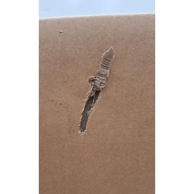 27" XB2797HSN-B1 Monitor - Clearance Product
