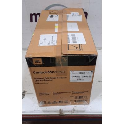 Control 65P/T Pendant Speakers - Clearance