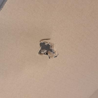 Neat Board Rolling Floor Stand - Clearance Product