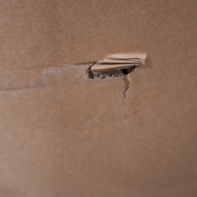 65" GXV4 Series Display - Clearance