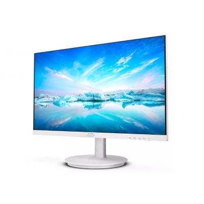 24" 241V8AW/00 LCD Monitor