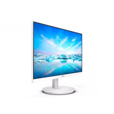 24" 241V8AW/00 LCD Monitor