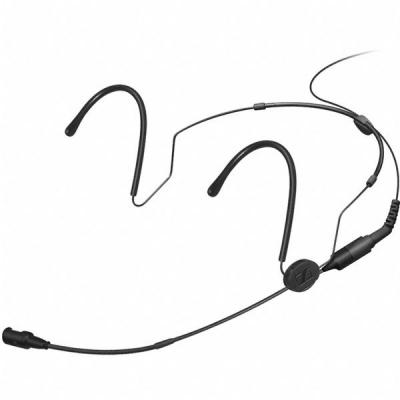 SENHSP4