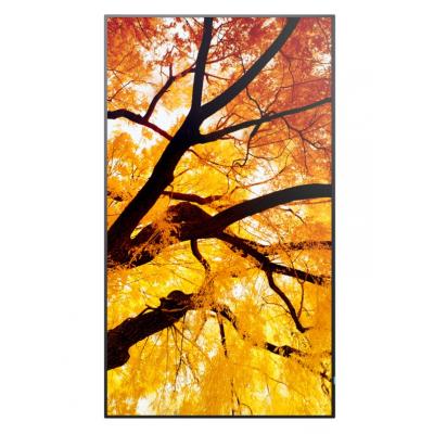 86" MultiSync M862 Commercial Display