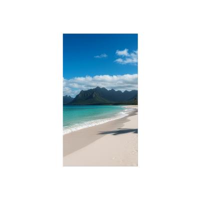 55" UN553S Video Wall Display